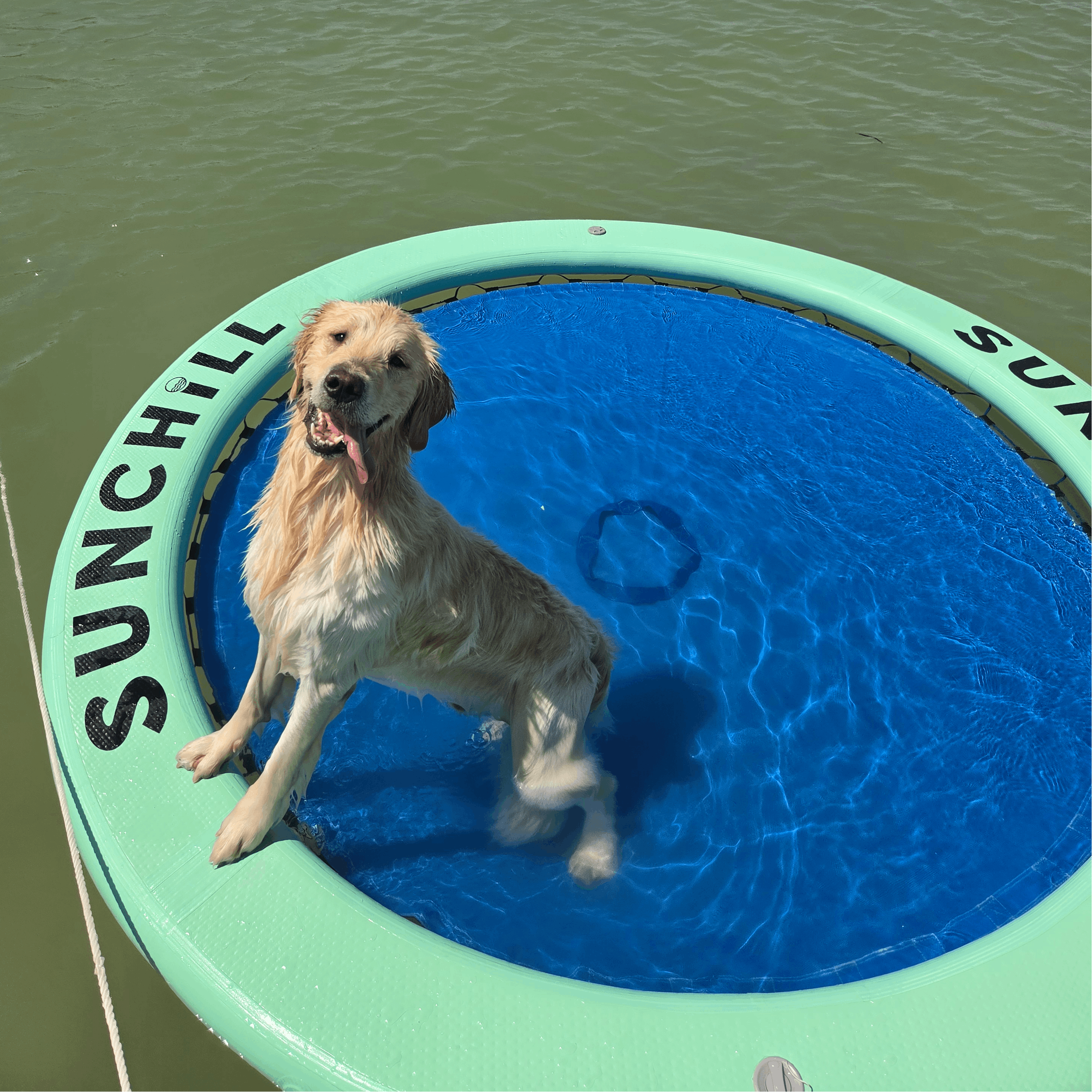 Sunchill