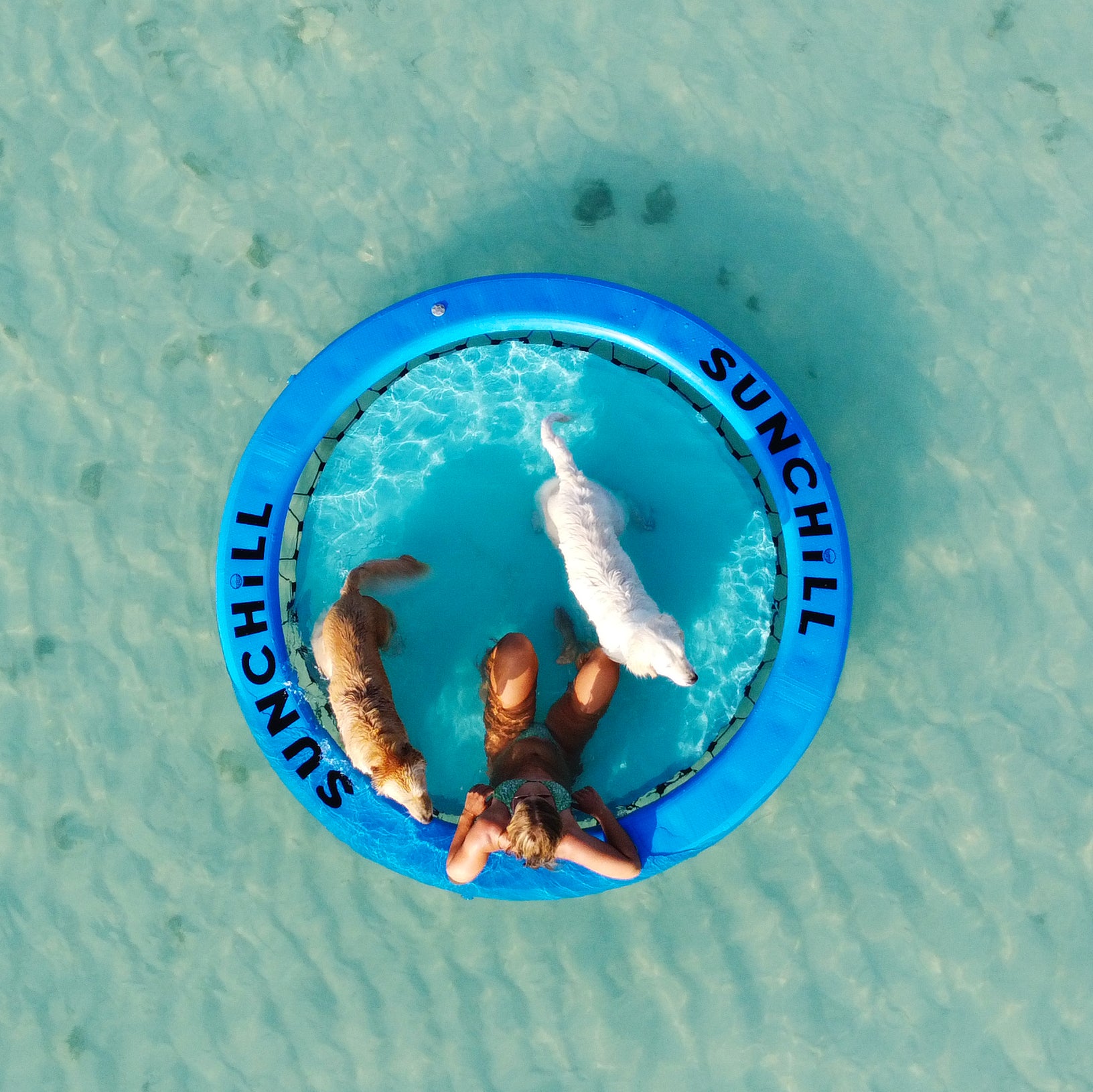 Overhead view of a woman and two dogs on a Royal Blue Sunchill float.